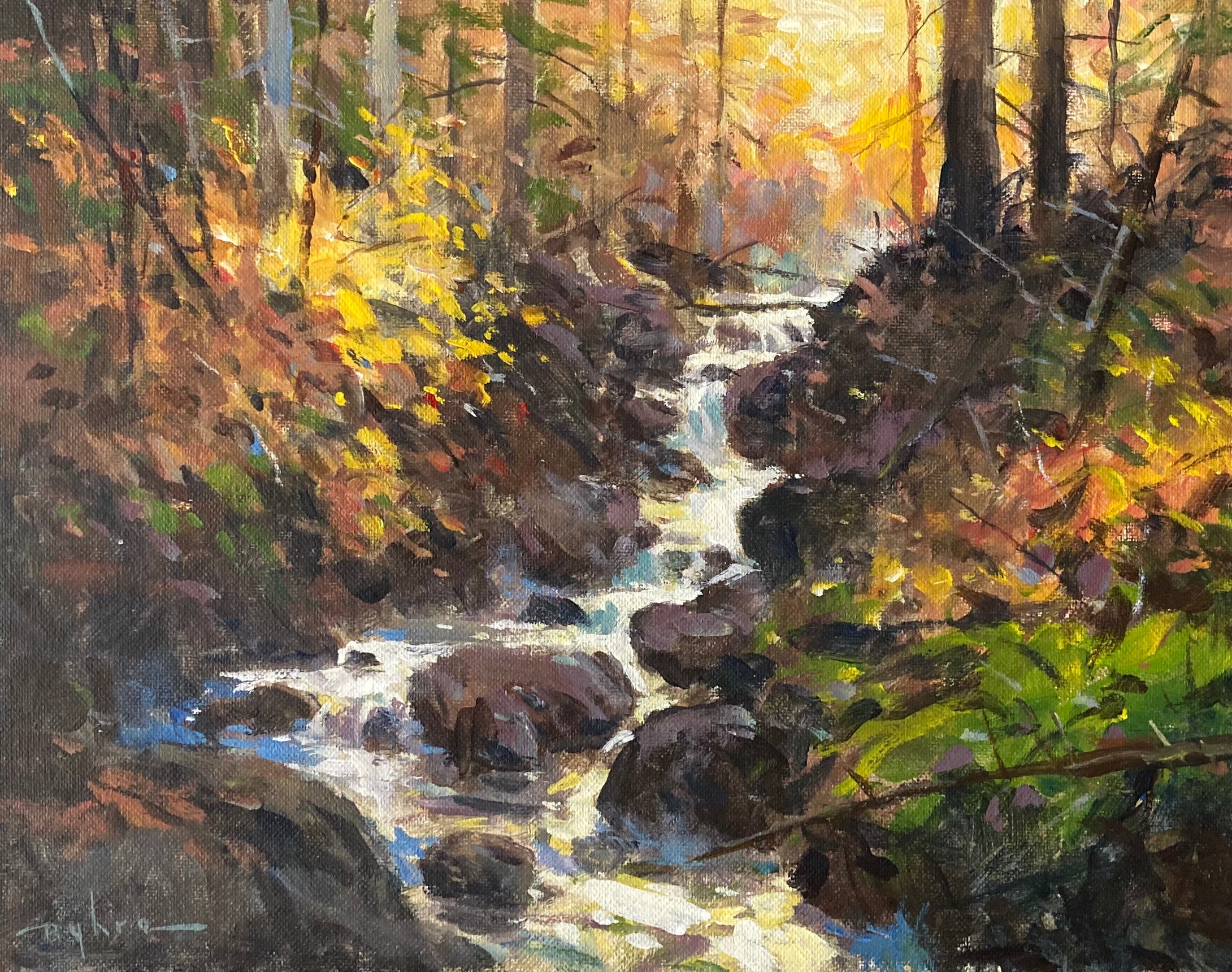 ‘Autumn Light’