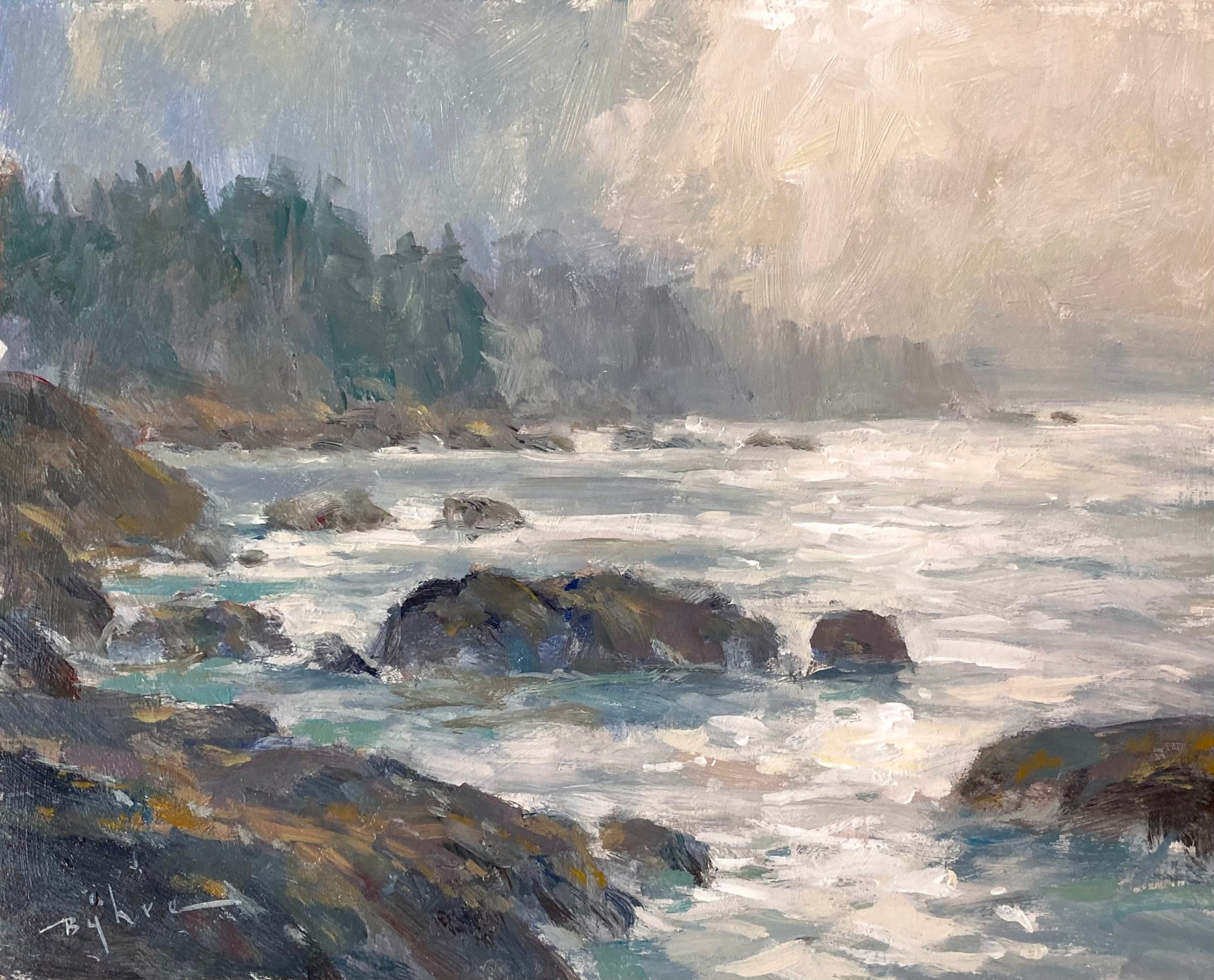 'Misty Seacoast'