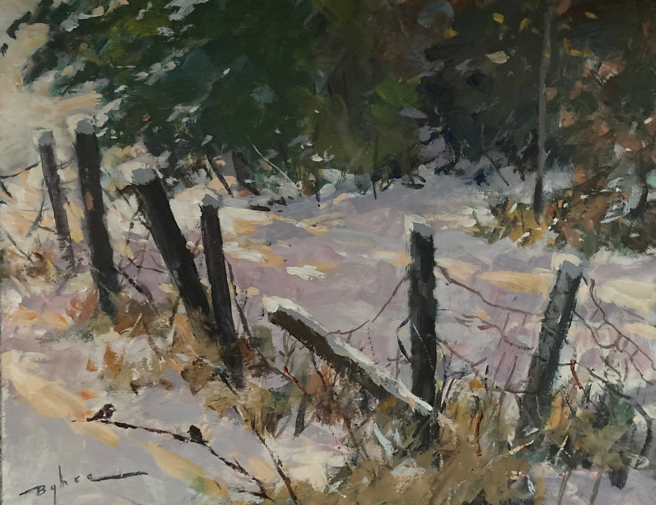 Old Fence Posts’